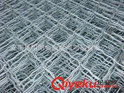 1000絲美格網(wǎng) 粗絲美格網(wǎng) 結實耐用美格網(wǎng)圖片|1000絲美格網(wǎng) 粗絲美格網(wǎng) 結實耐用美格網(wǎng)產品圖片由安平縣明朗金屬絲網(wǎng)制品公司生產提供-