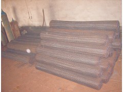 供應蛋托輸送網帶,經濟耐用。安平達隆供應產品安平縣達隆金屬絲網制品廠