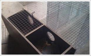 安平大偉網業(yè) 安平水貂籠子 絲網制品金屬絲網廠_五金、工具_世界工廠網